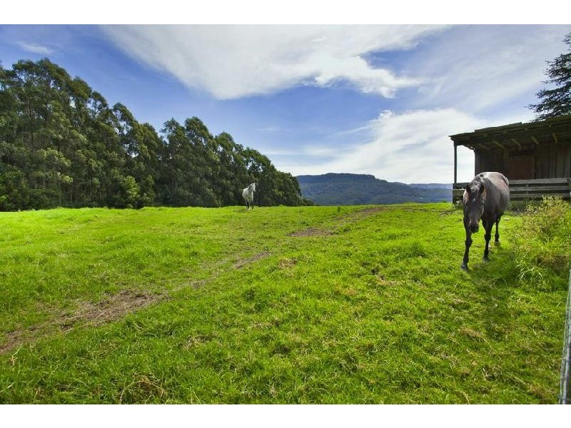 Calderwood NSW 2527