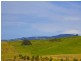 Flinders NSW 2529