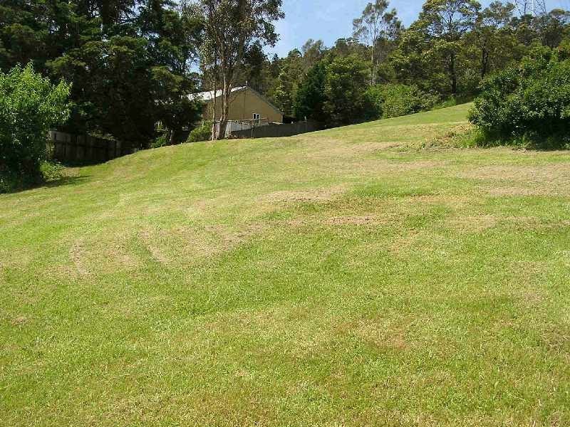 Berkeley NSW 2506