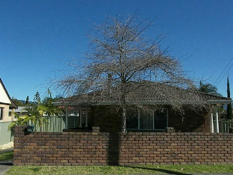 Oak Flats NSW 2529