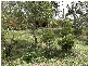 Calderwood NSW 2527