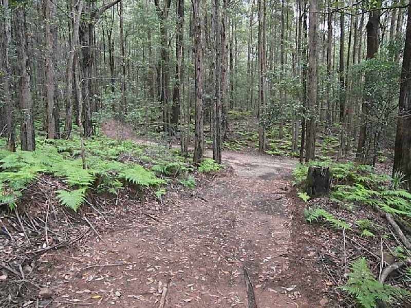 Yellow Rock NSW 2527