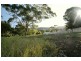 Coledale NSW 2515