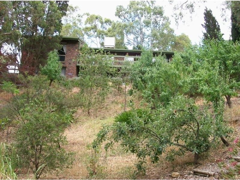 21 Tay Court, Banksia Park SA 5091