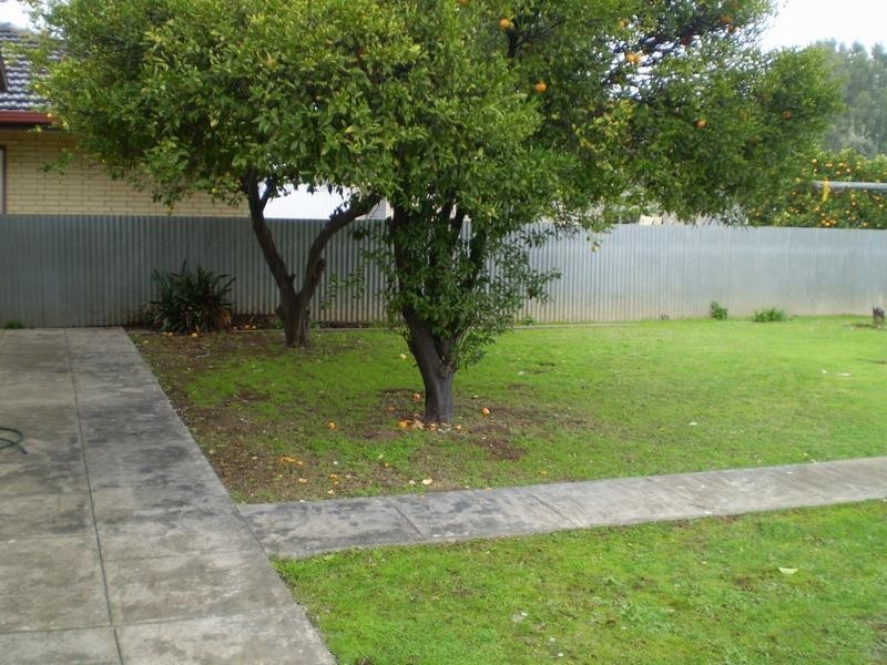 17 EDIE STREET, Mansfield Park SA 5012