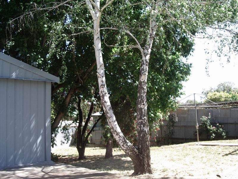 19 Scenic Way, Ridgehaven SA 5097