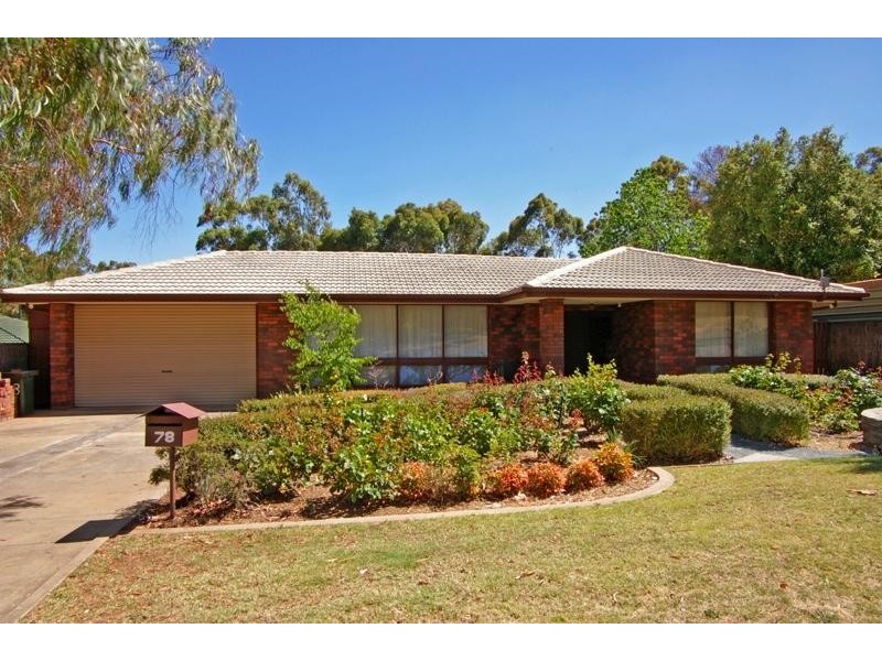 78 Waitara Road, Banksia Park SA 5091