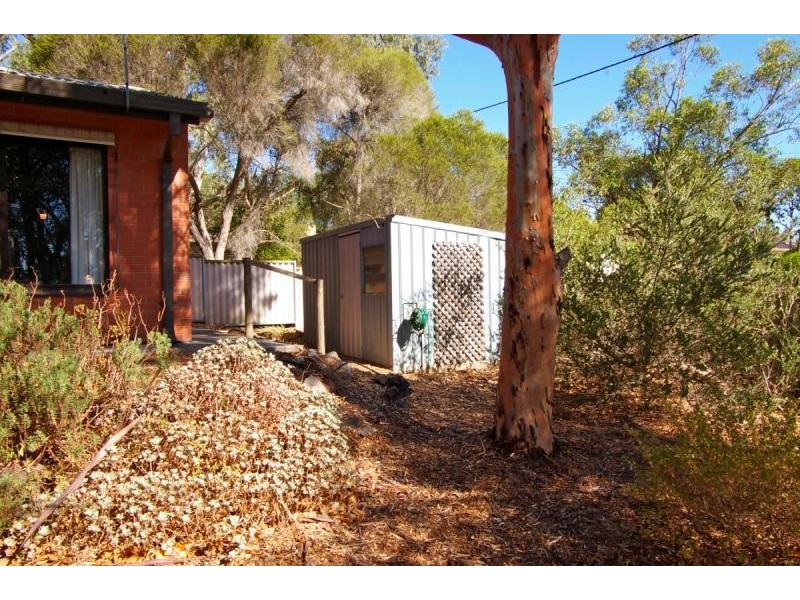16 Mintanta Drive, Banksia Park SA 5091