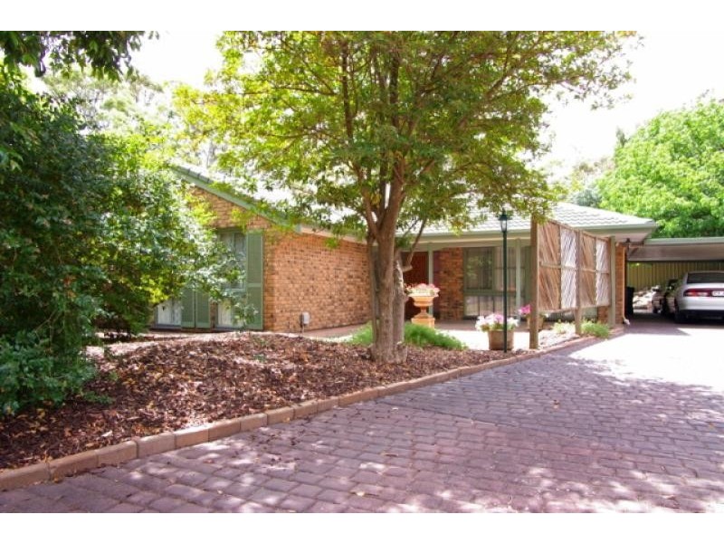 29 Fernilee Avenue, Tea Tree Gully SA 5091