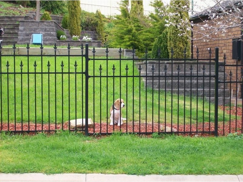 10 Gransden Parade, Greenwith SA 5125