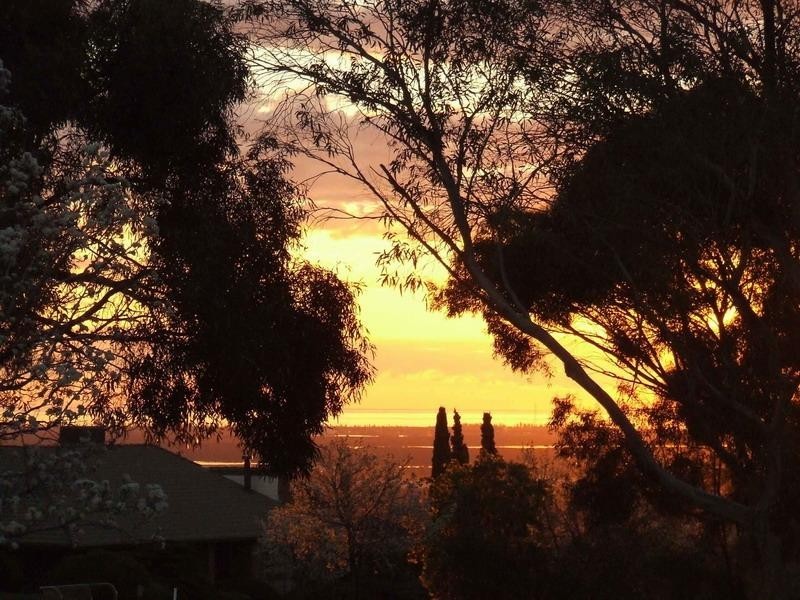 5 Maidment Court, Wynn Vale SA 5127