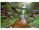 147 Haines Road, Banksia Park SA 5091