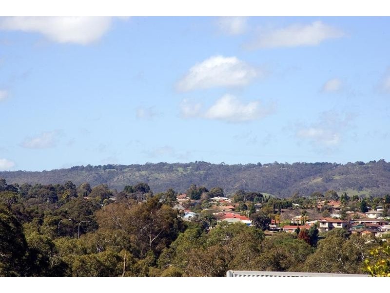 13 Coalport Terrace, Modbury Heights SA 5092