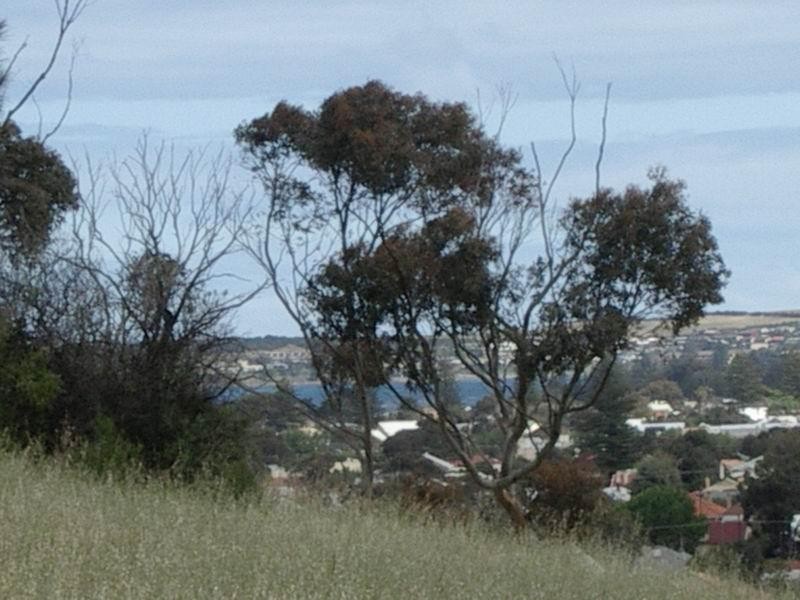 14 Laxton Street, Victor Harbor SA 5211