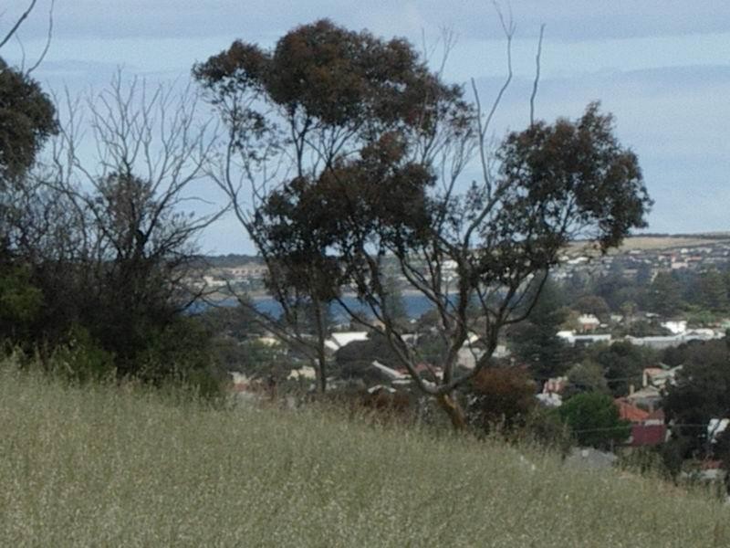 14 Laxton Street, Victor Harbor SA 5211