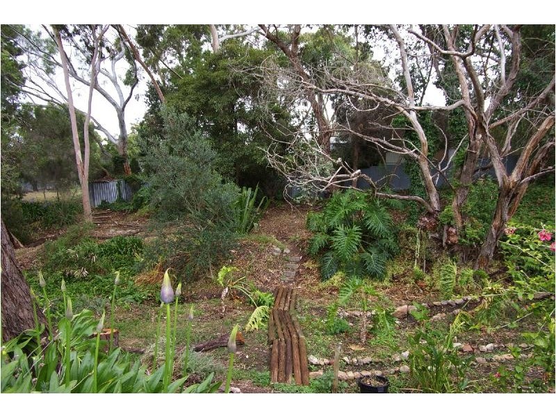 84 Waitara Road, Banksia Park SA 5091