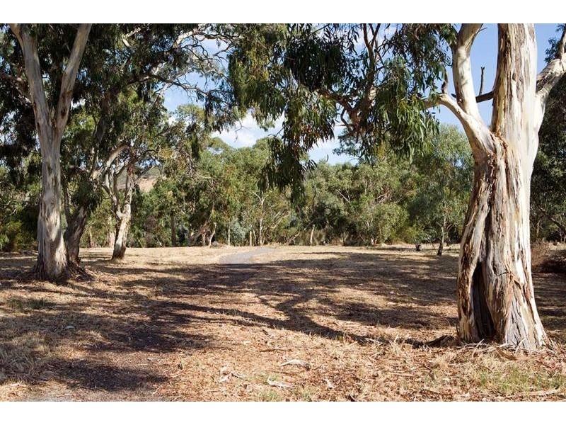 6 Tarni Street, Fairview Park SA 5126