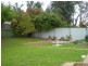 19 Lema Avenue, Fairview Park SA 5126