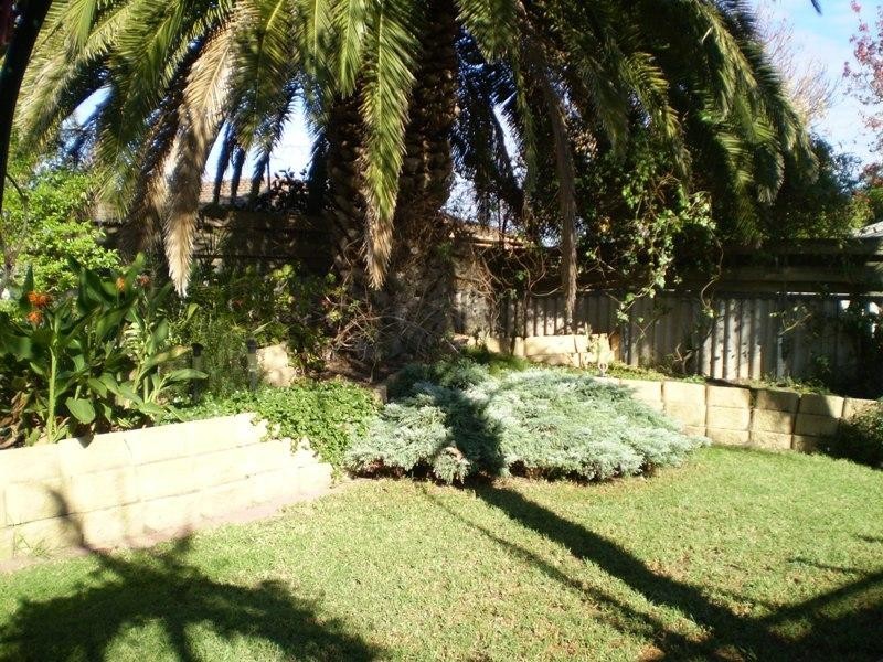 25 Kurrajong Street, Surrey Downs SA 5126