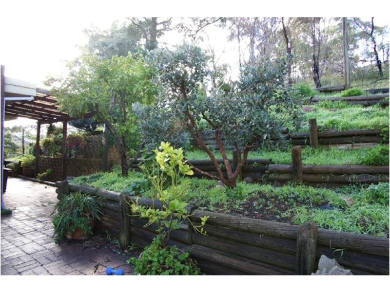 62 Wattle Crescent, Tea Tree Gully SA 5091