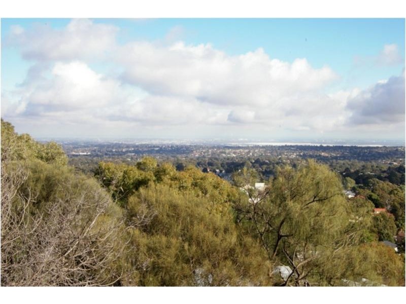 62 Wattle Crescent, Tea Tree Gully SA 5091