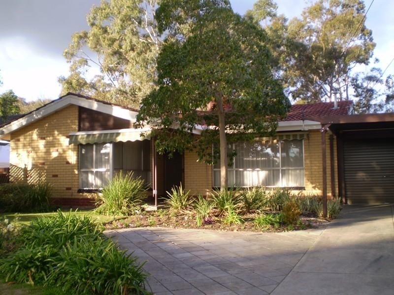 11 Oleander Drive, Banksia Park SA 5091