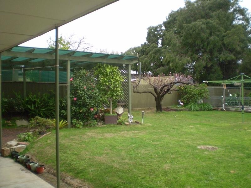 1 Tareena Street, Ridgehaven SA 5097