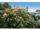 15 Eucalypt Parade, St Agnes SA 5097