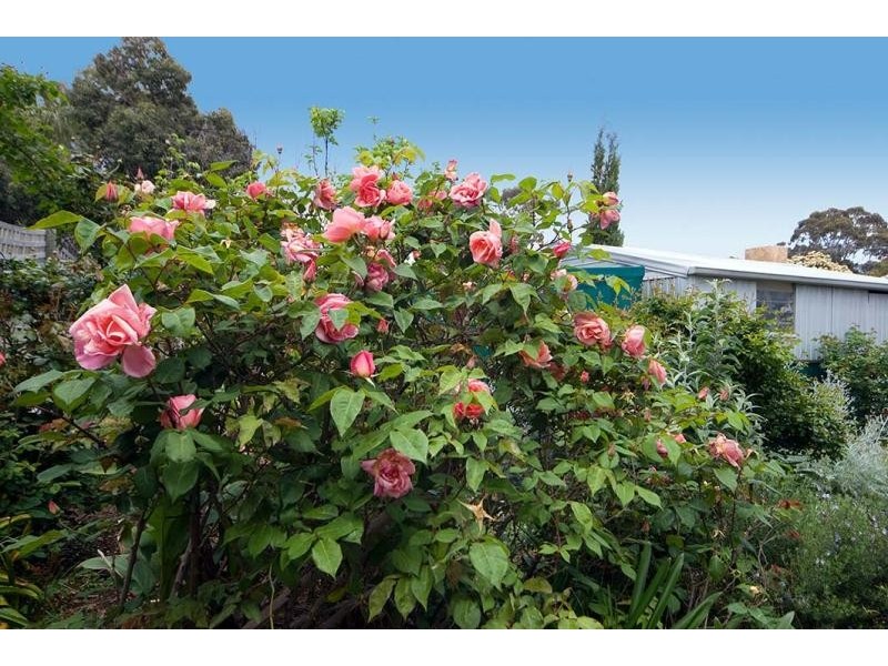 15 Eucalypt Parade, St Agnes SA 5097