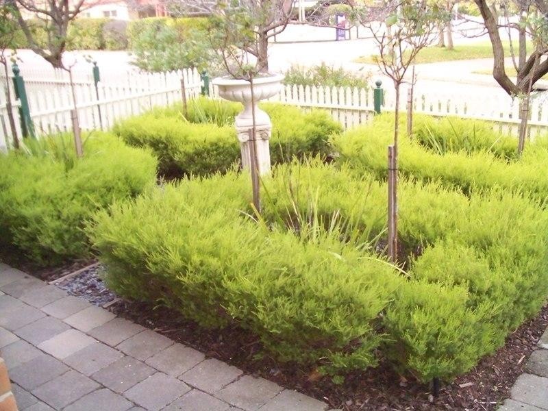 Unit 5/9 Mayfair Place, Wynn Vale SA 5127