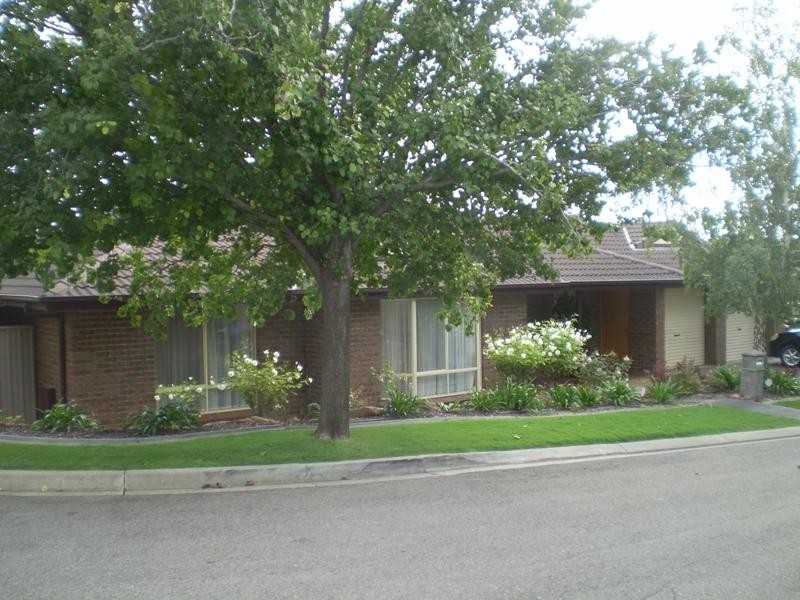 3 Rambutan Court, Greenwith SA 5125