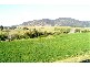 509 FISHERS HILL ROAD, Vacy NSW 2421
