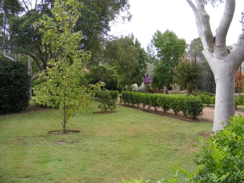 7 Tocal Road, Bolwarra Heights NSW 2320