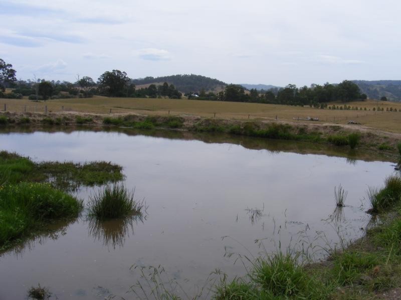 1280 GRESFORD ROAD, Vacy NSW 2421