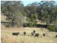 Lot 2 Blue Bonnett Road, Lambs Valley NSW 2335