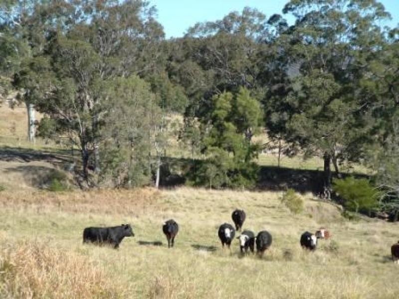 Lot 2 Blue Bonnett Road, Lambs Valley NSW 2335