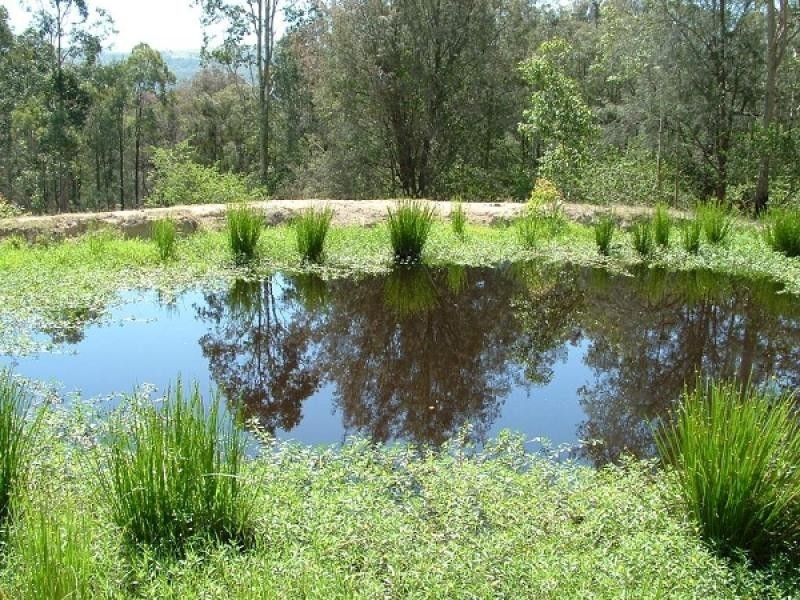 Lot 2 Blue Bonnett Road, Lambs Valley NSW 2335