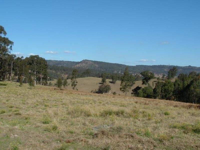 Lot 2 Blue Bonnett Road, Lambs Valley NSW 2335