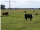 Duckenfield NSW 2321