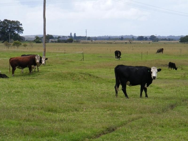 Duckenfield NSW 2321