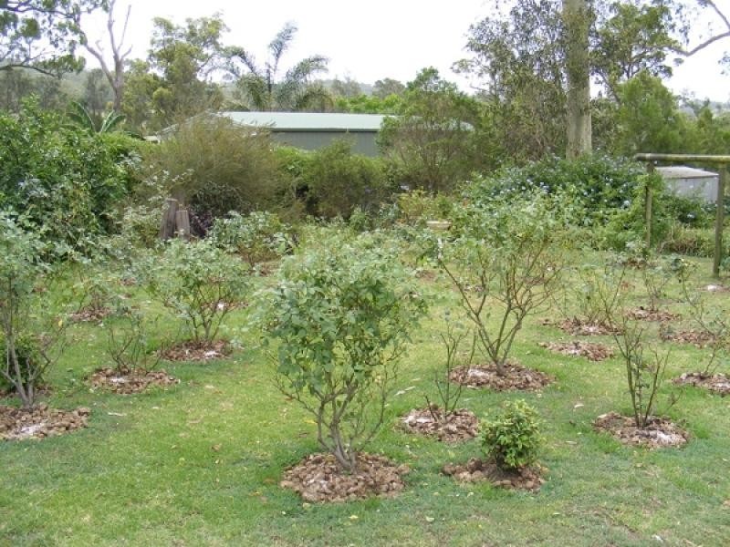 444 Maitland Vale Road, Maitland Vale NSW 2320