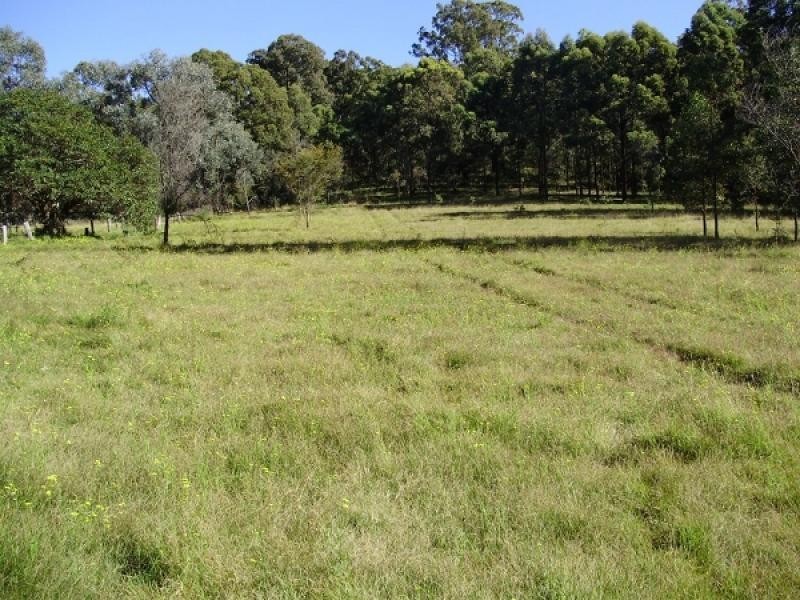 1190 Old Maitland Road, Sawyers Gully NSW 2326