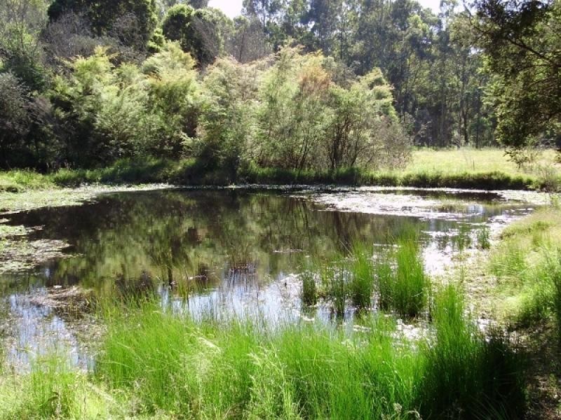 1190 Old Maitland Road, Sawyers Gully NSW 2326