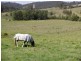 Lambs Valley NSW 2335