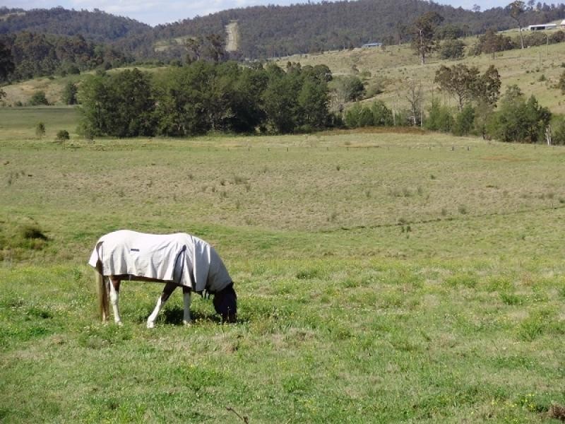 Lambs Valley NSW 2335