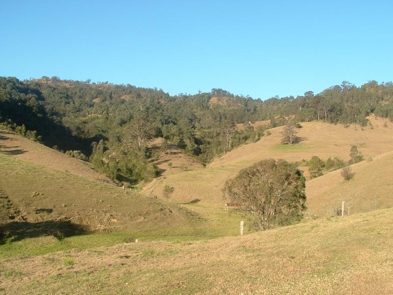 282 PARKS CREEK ROAD, East Gresford NSW 2311