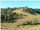 282 PARKS CREEK ROAD, East Gresford NSW 2311