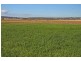 Maitland NSW 2320