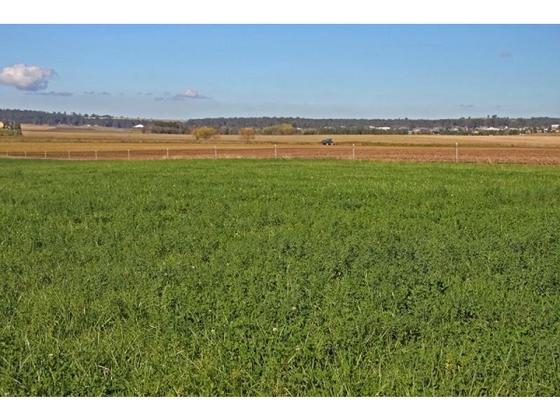 Maitland NSW 2320