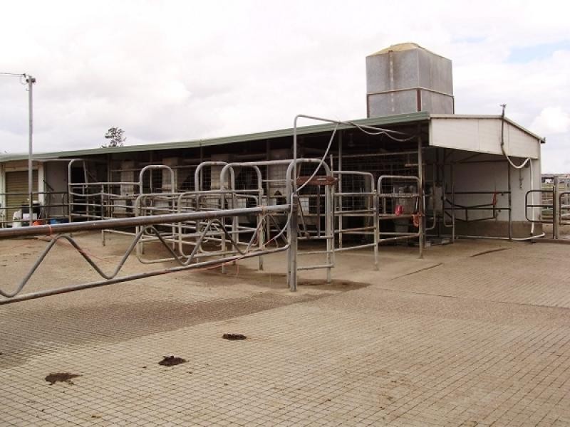 Lower Belford NSW 2335